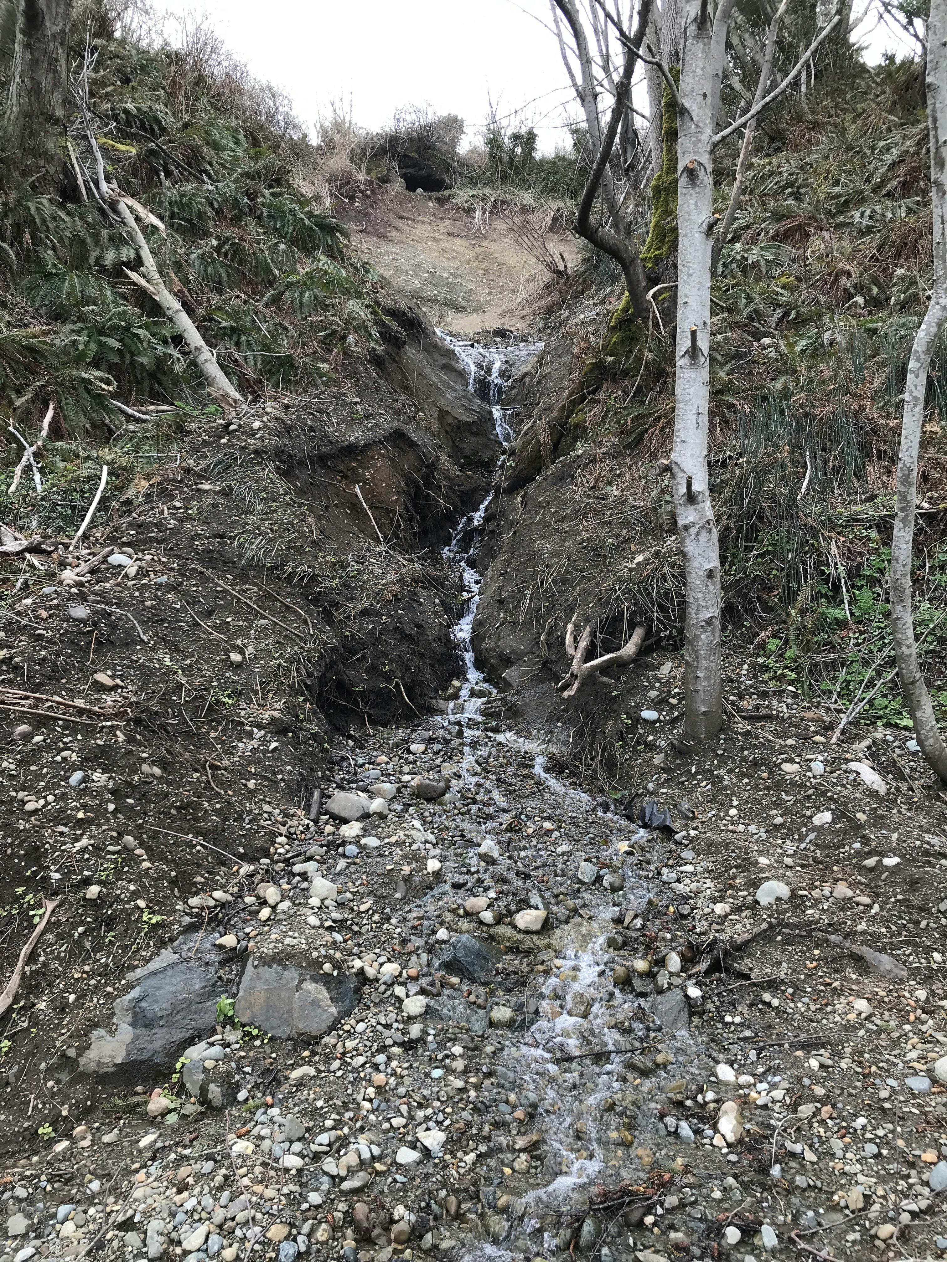 An example of a spring creating soil erosion