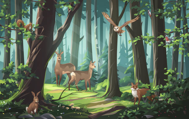 Woodland Forest