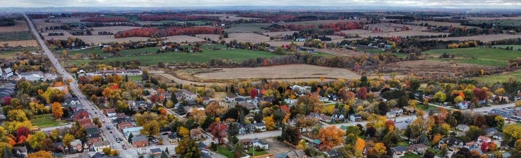 Aerial view of trees and buildings during fall 
