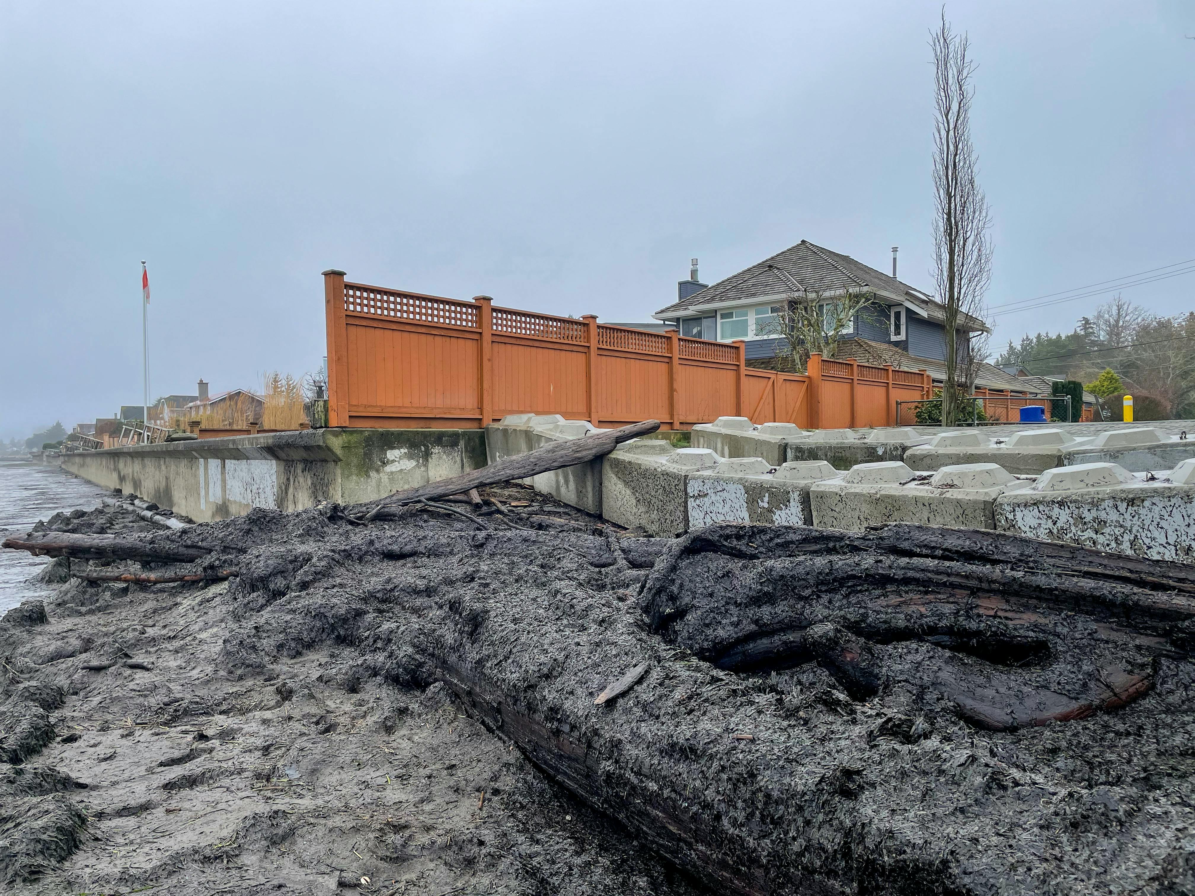 Seawall Debris.jpg