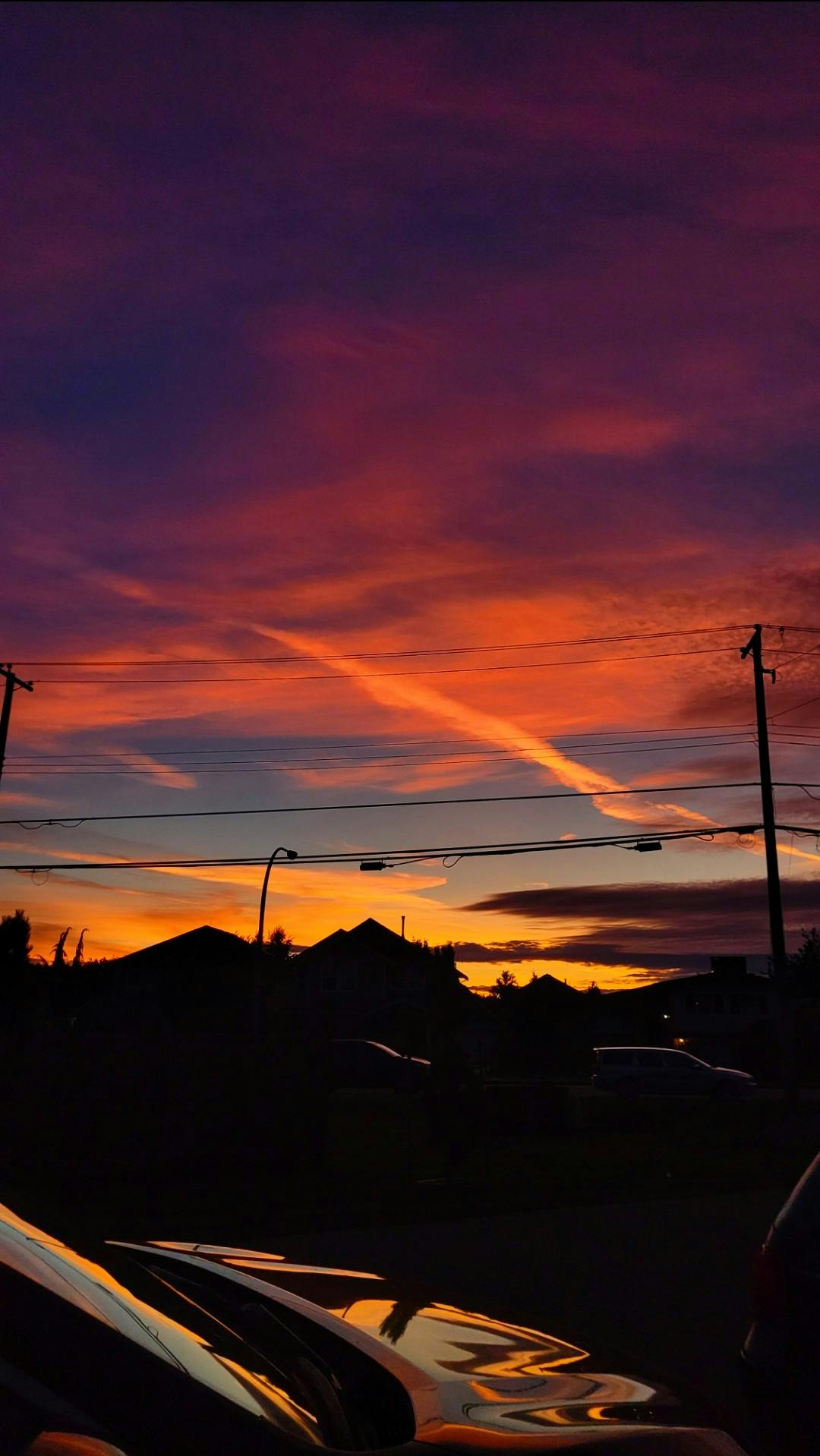 Giovanni Bruno - Adult