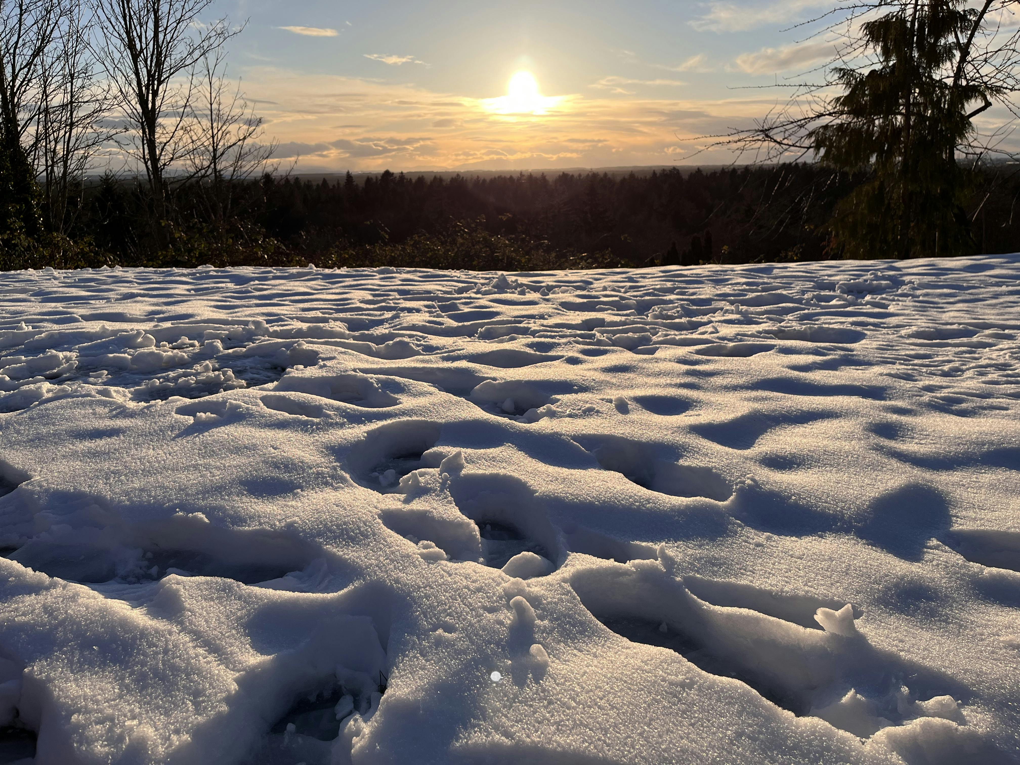 Cherish Our Neighbourhood