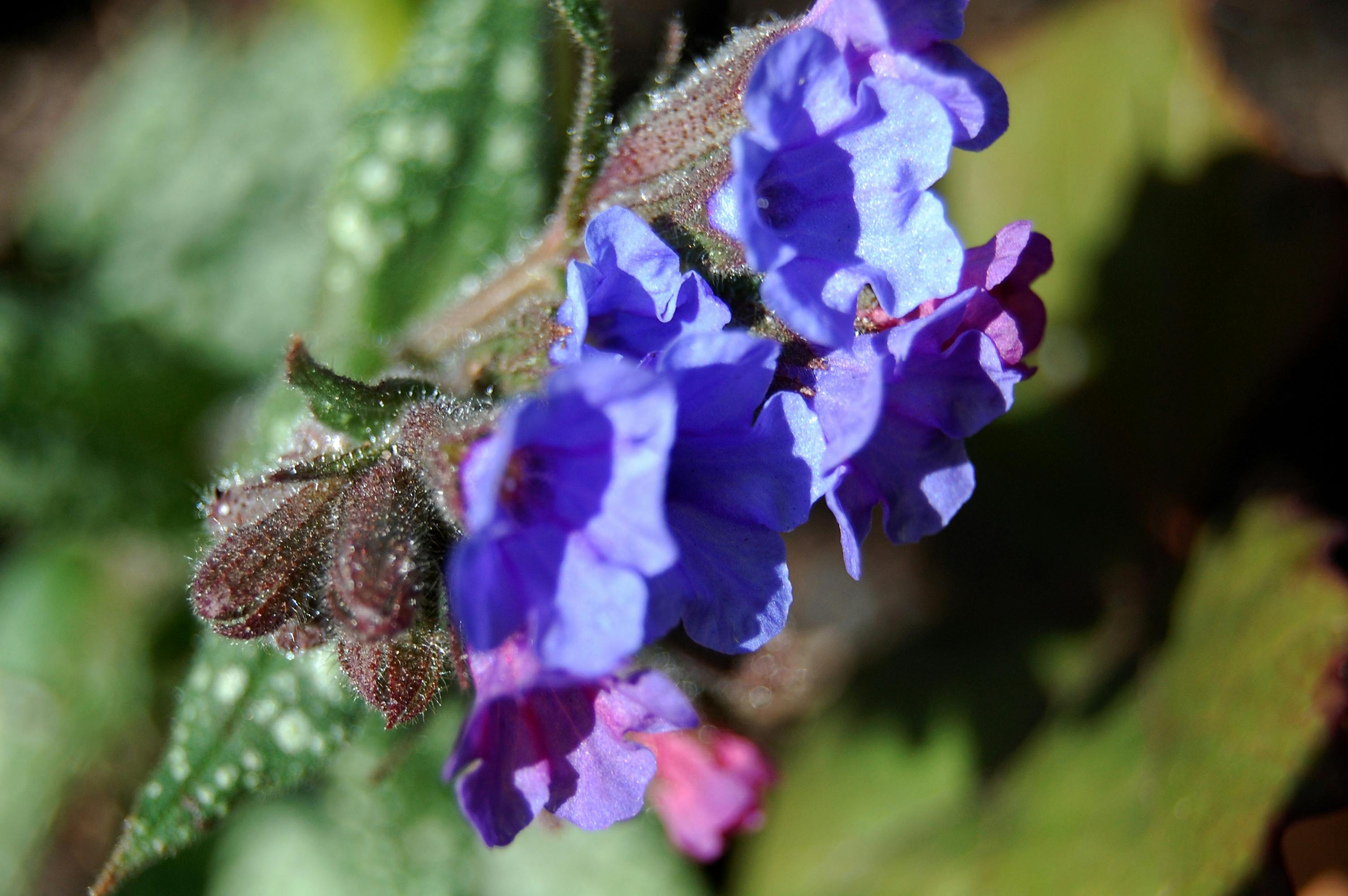 Bloom in the Neighbourhood