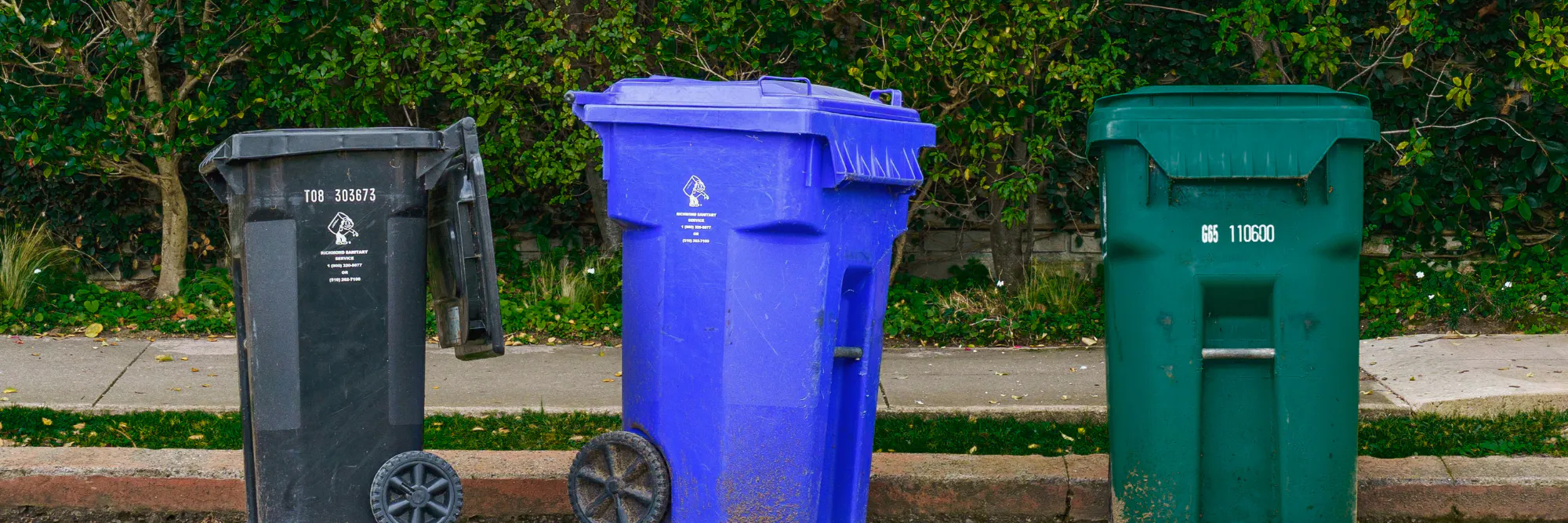Garbage, Recycle and Green Bins