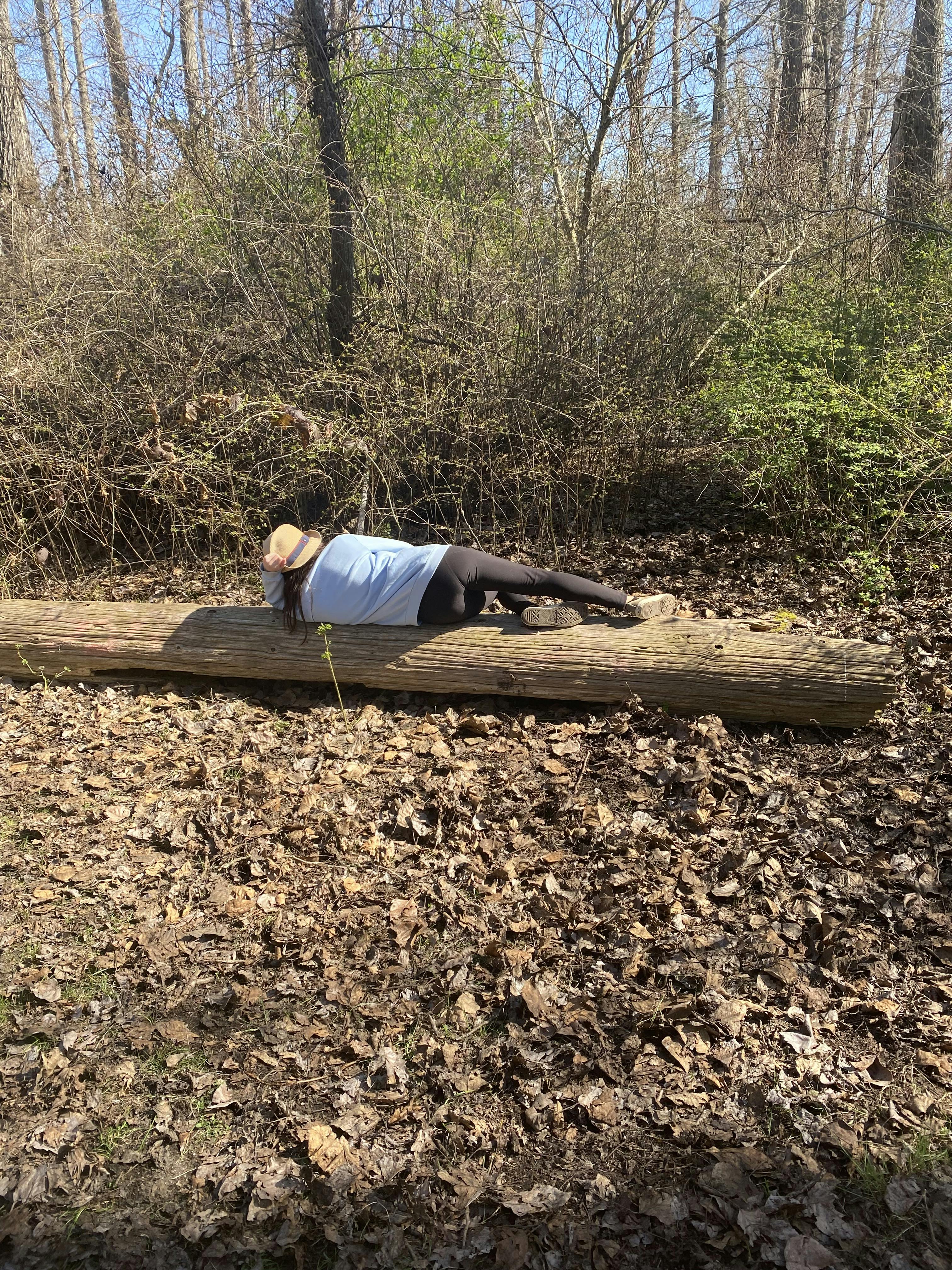 Beautiful Beach Grove!