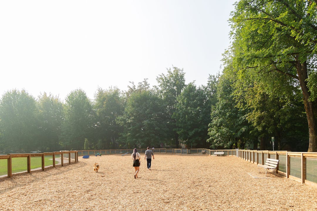 Dog with ball, photo by Anna Dudkova