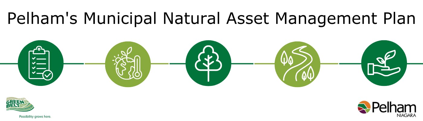 Pelham's Municipal Natural Asset Management Plan with Greenbelt Foundation logo and Town of Pelham logo