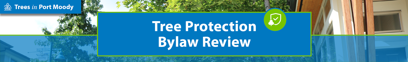 Tree protection bylaw review