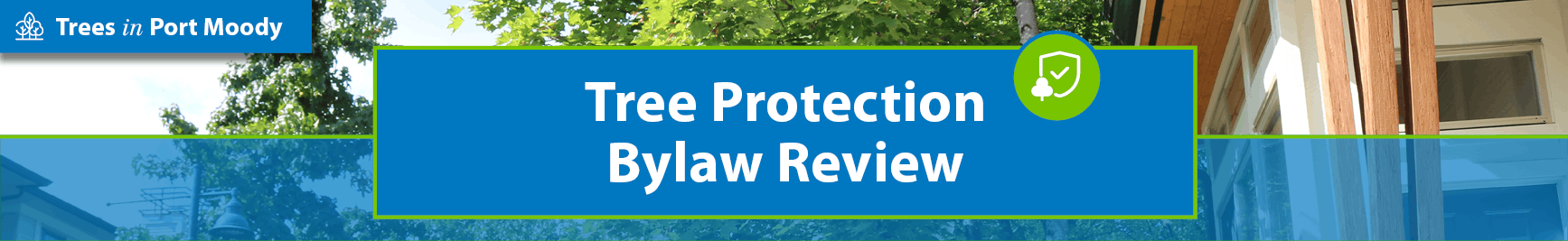 Tree protection bylaw review