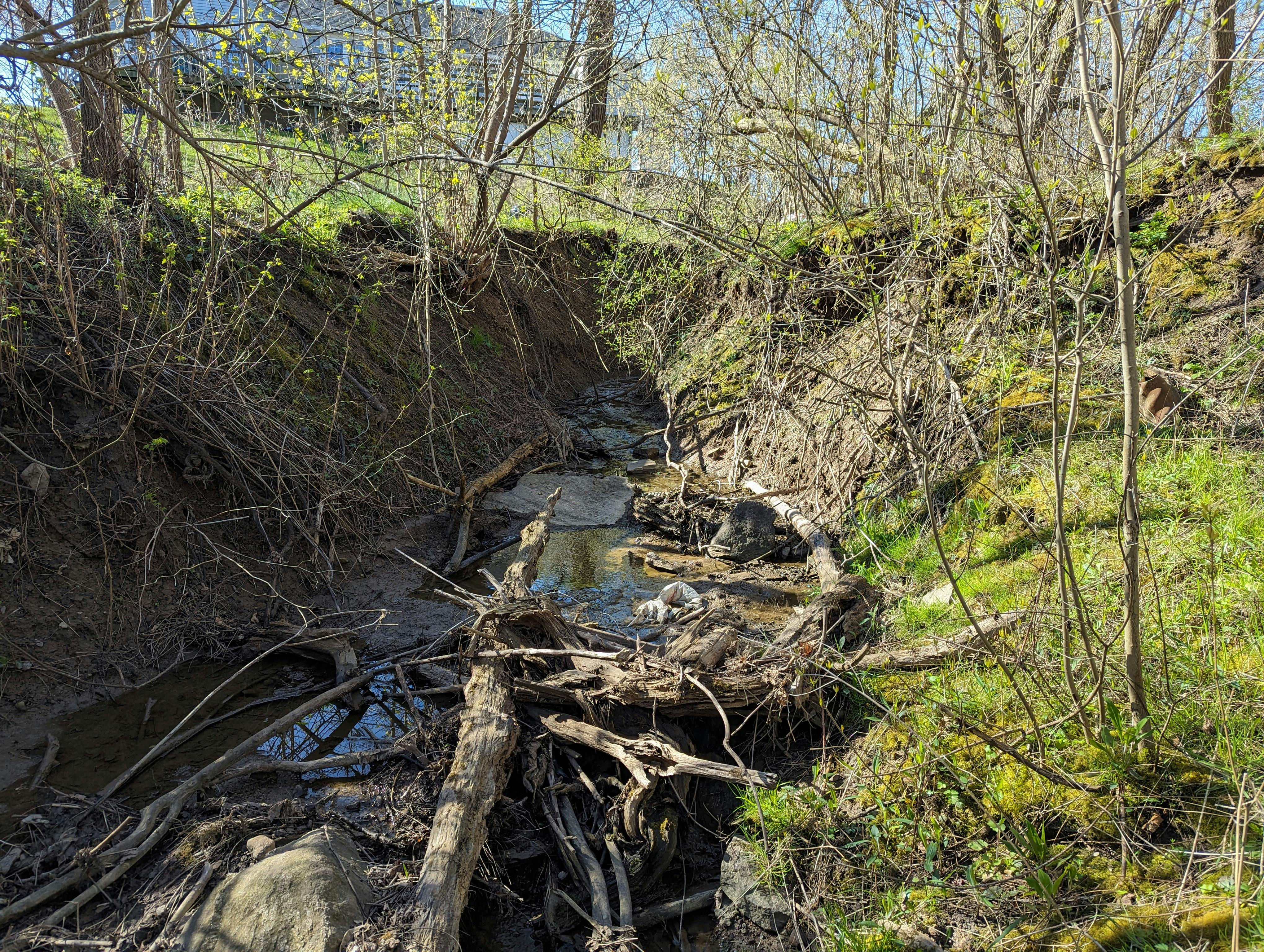 Erosion issues- 12 Mile Creek