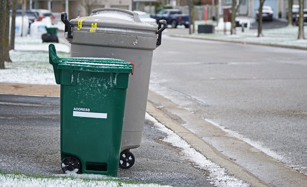 Plastic green bin and garbage bin sitting at the curbside on a residential street.