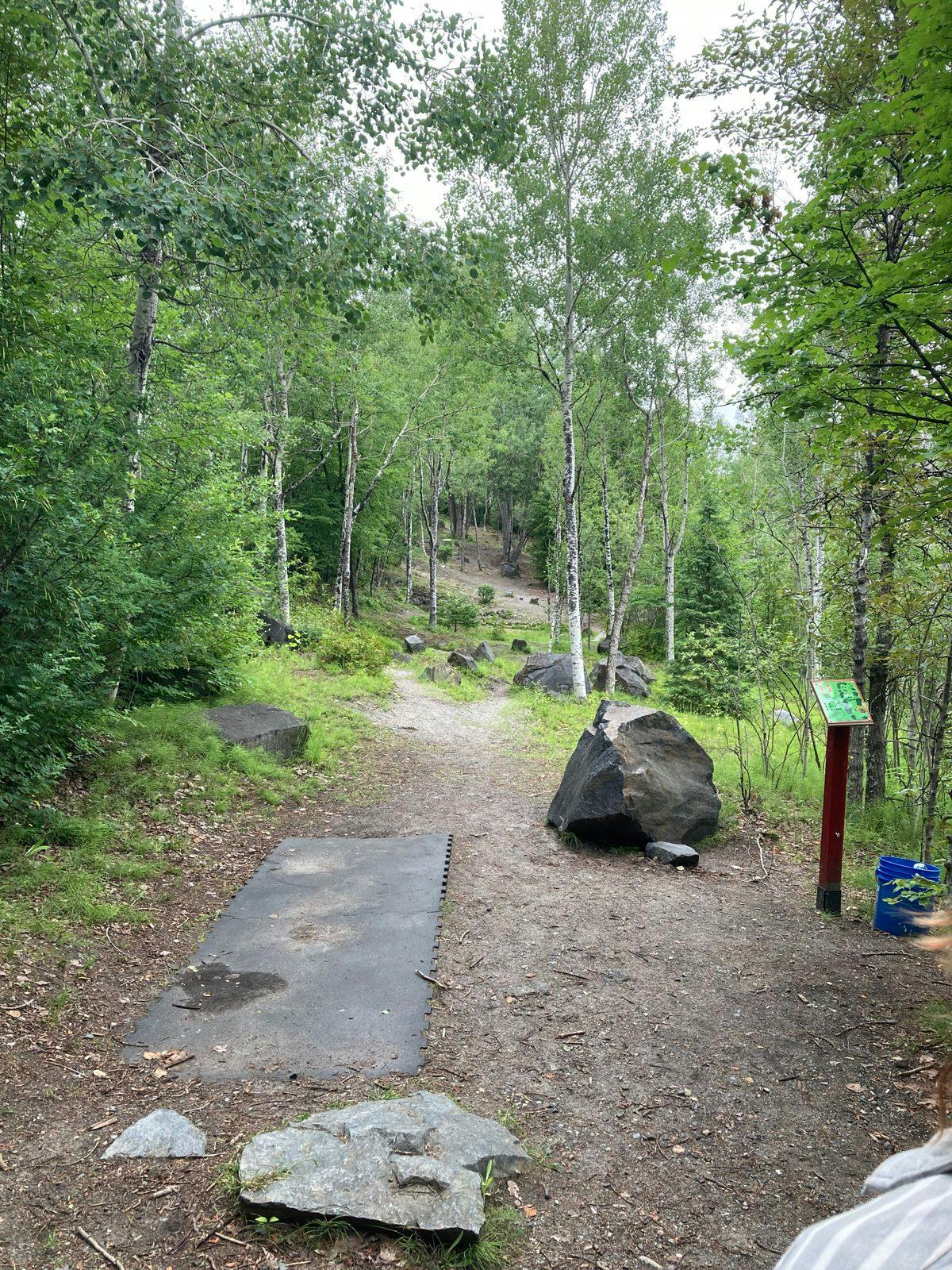 Disc Golf Photo 2.jpg