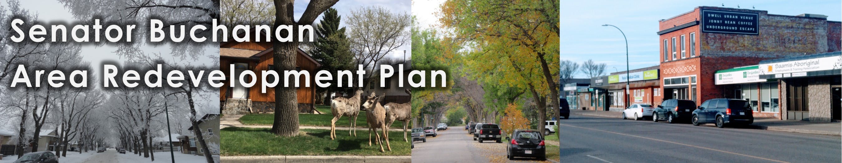 Senator Buchanan Area Redevelopment Plan banner