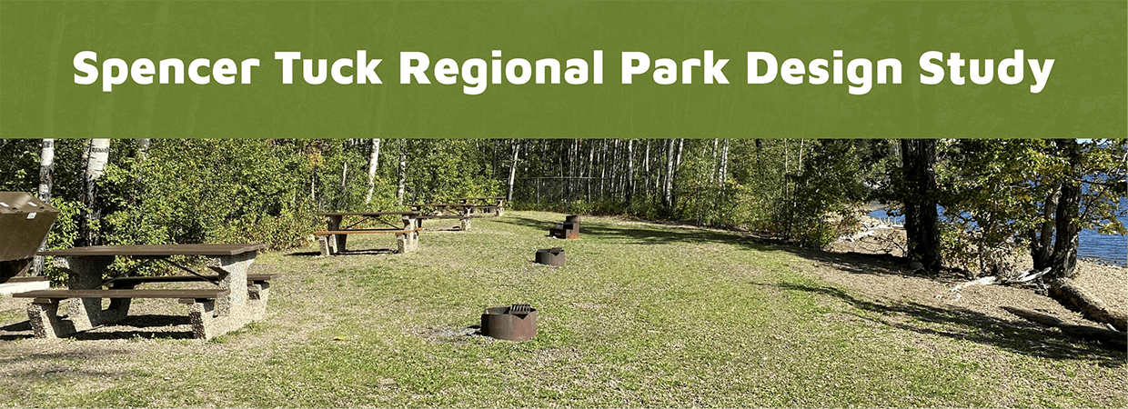 A rural park with a row of picnic tables and campfire sites on the left and center and a lake to the right.