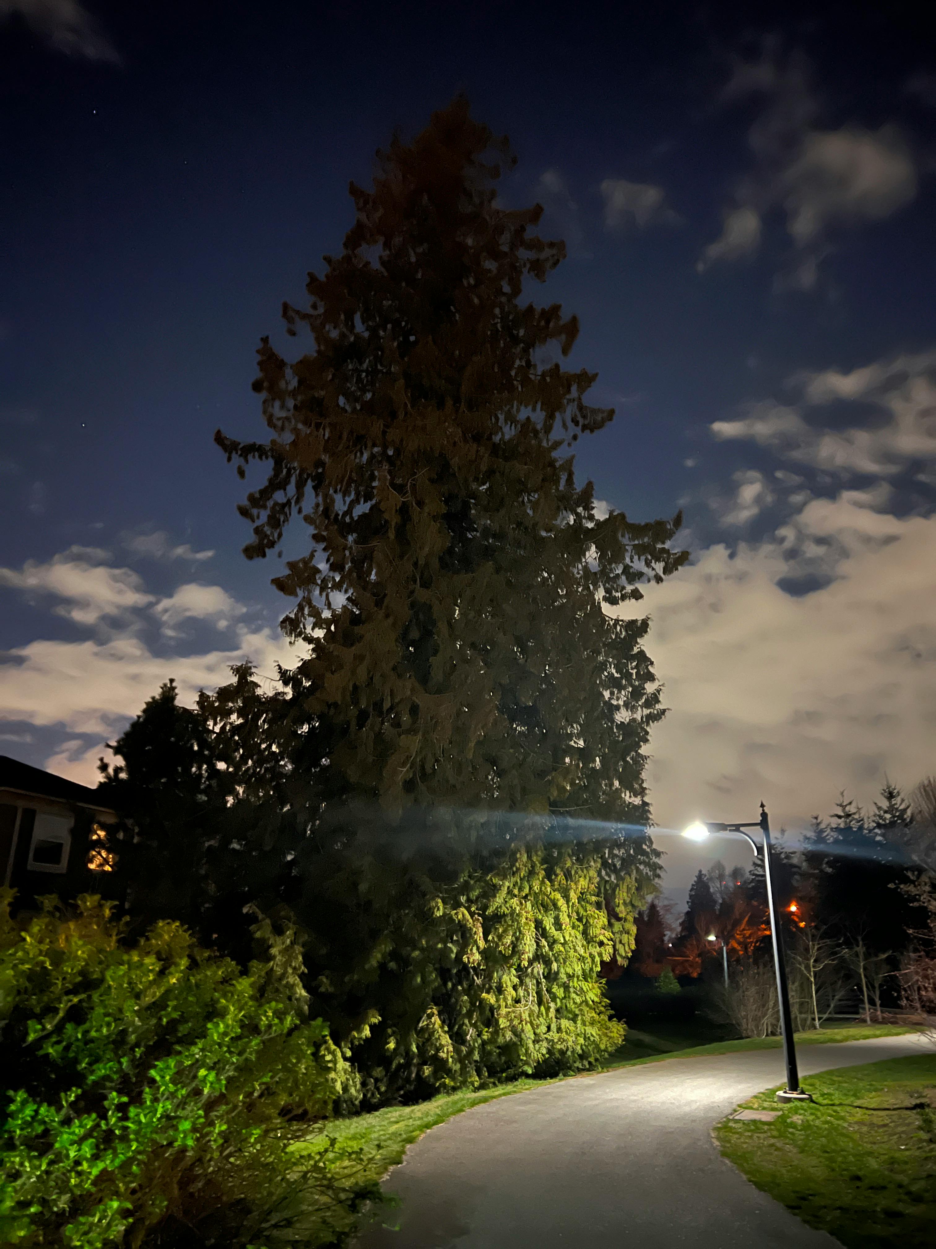 Perseverance of Nature