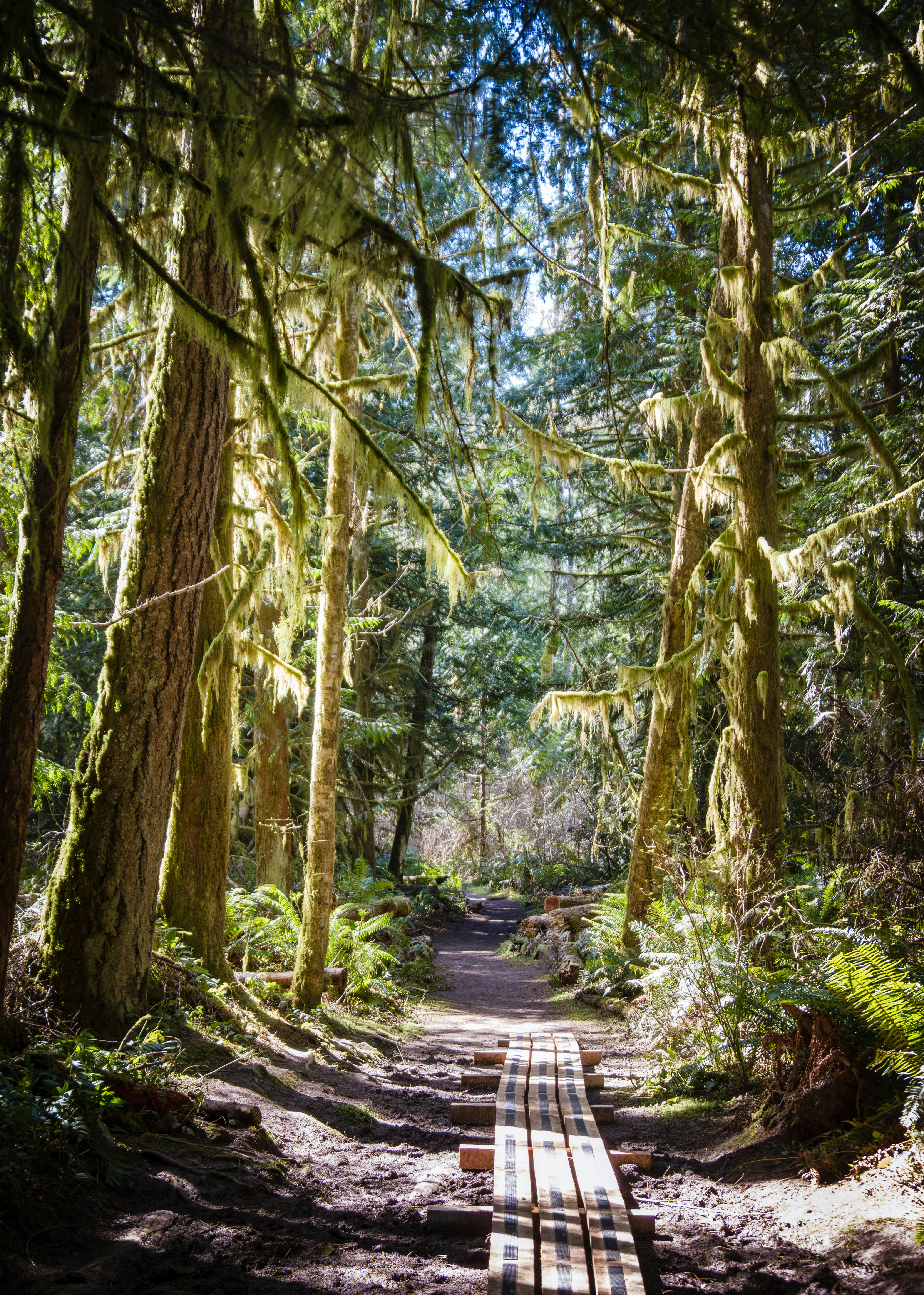 Hamilton Marsh Regional Park and Conservation Area