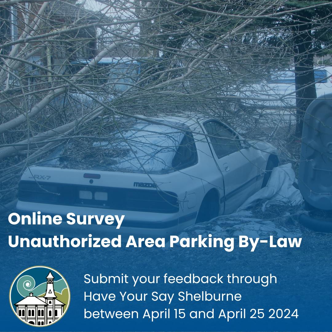 Online Survey - Car in Shelburne Ontario 