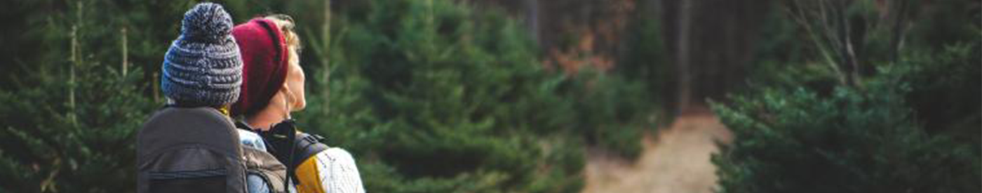 project banner