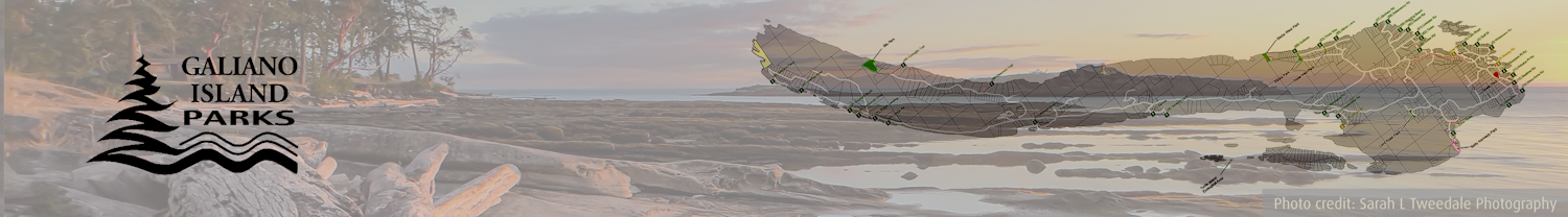 project banner