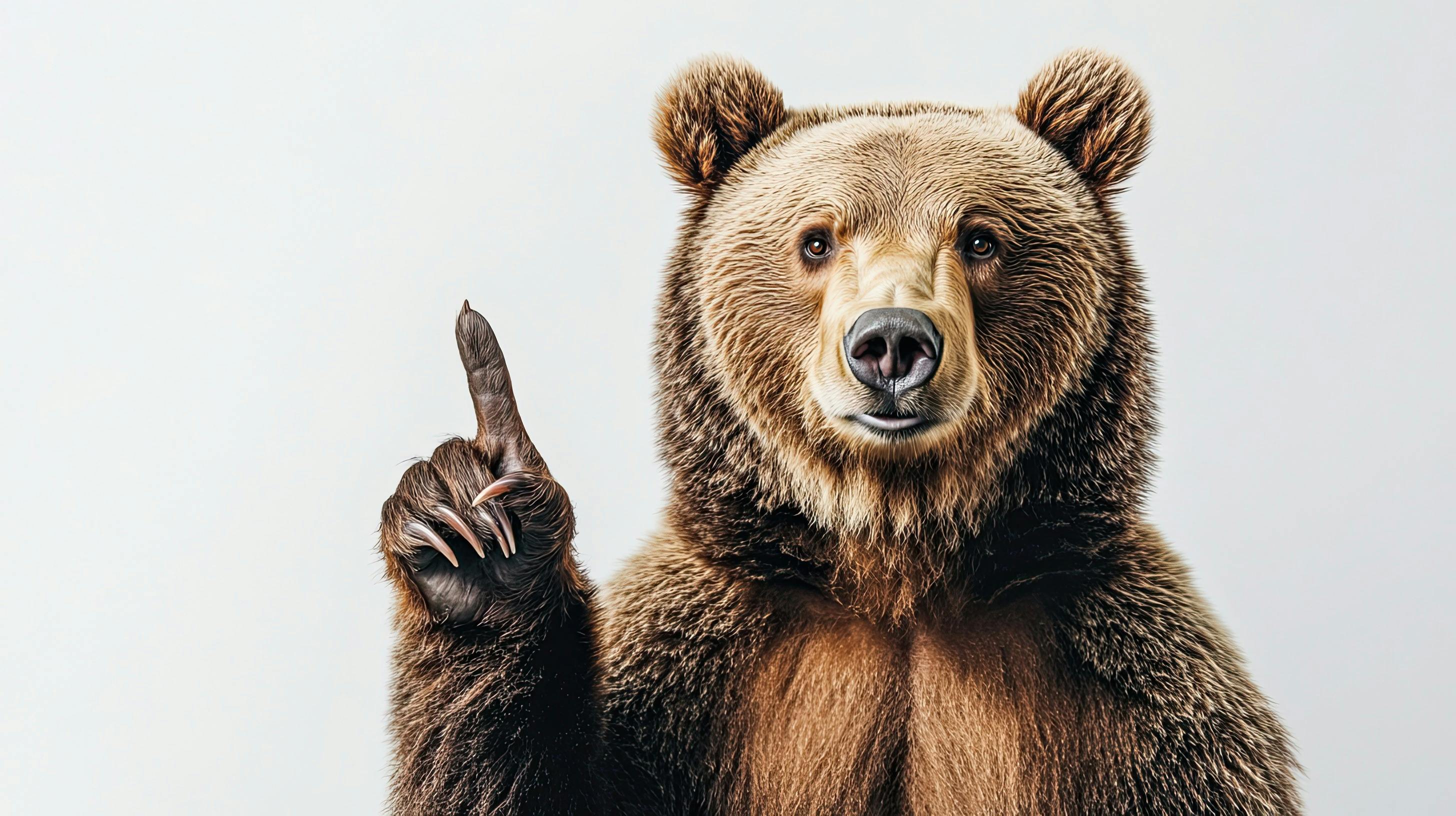 Team member, Tracy Forster