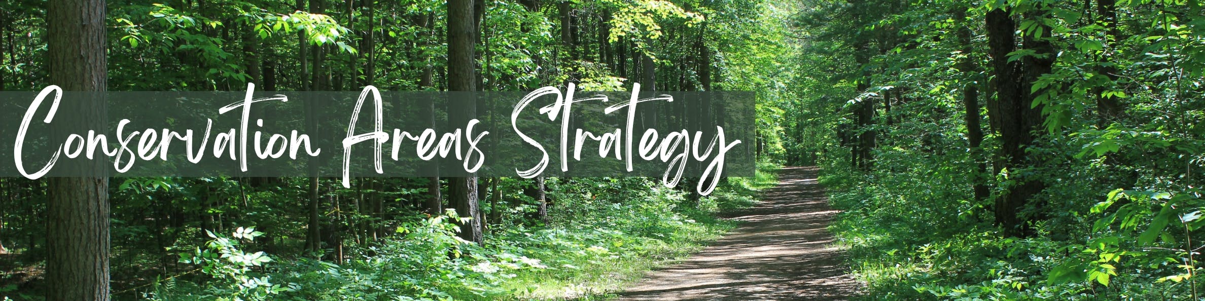 Text reading "Conservation Areas Strategy" overlaid on an image of a trail through a forest