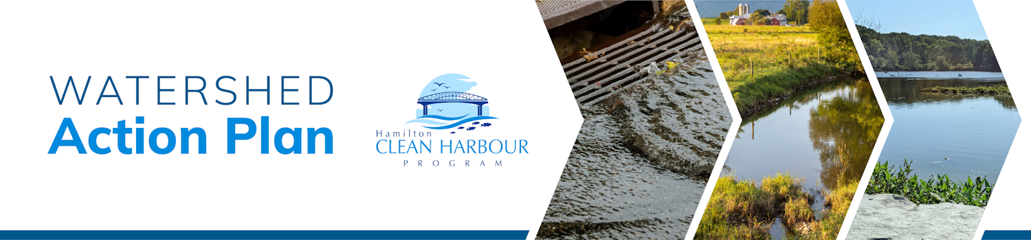 Text: "Watershed action plan" images of storm sewers and the natural water environment