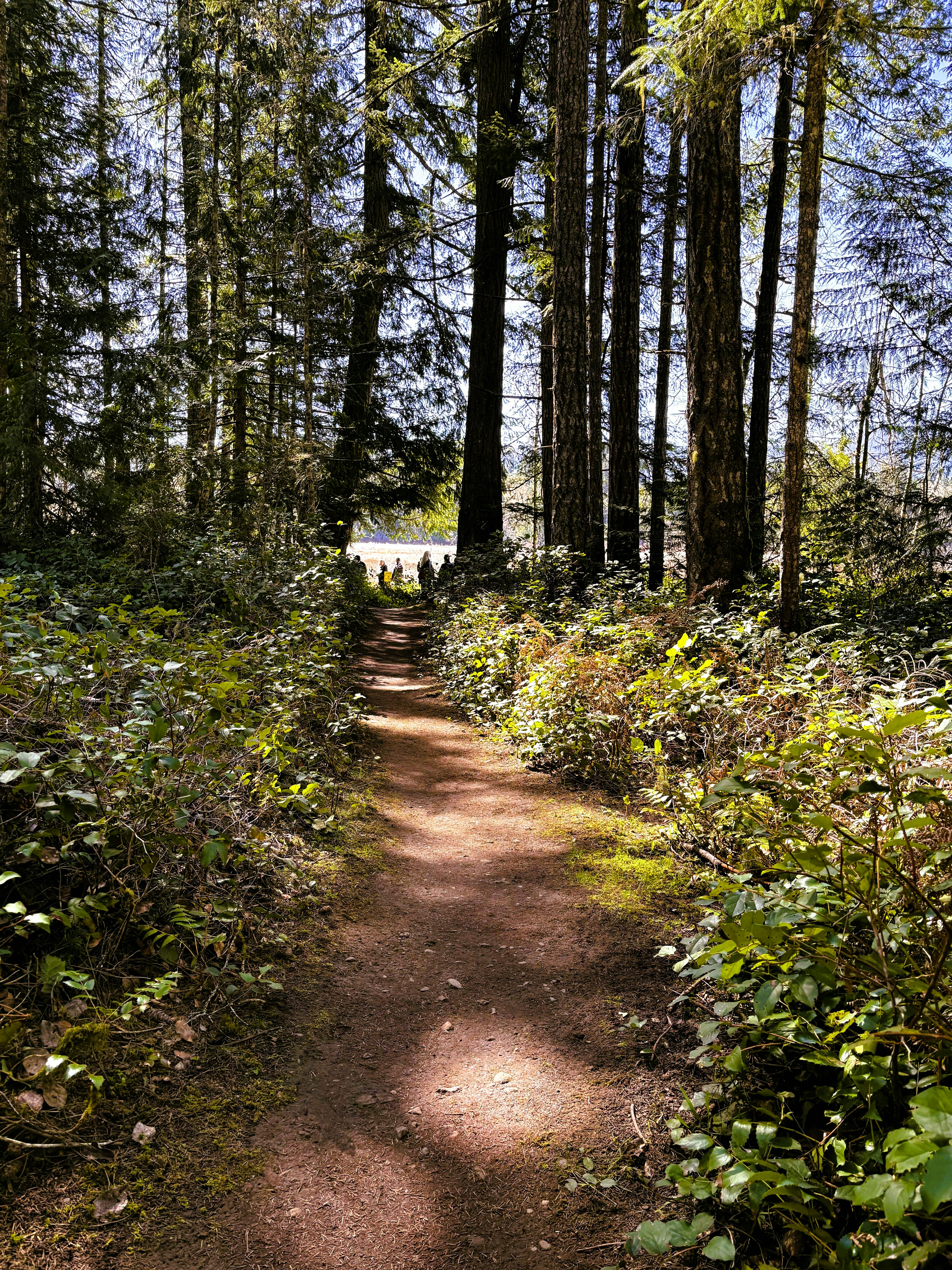 Hamilton Marsh Regional Park and Conservation Area