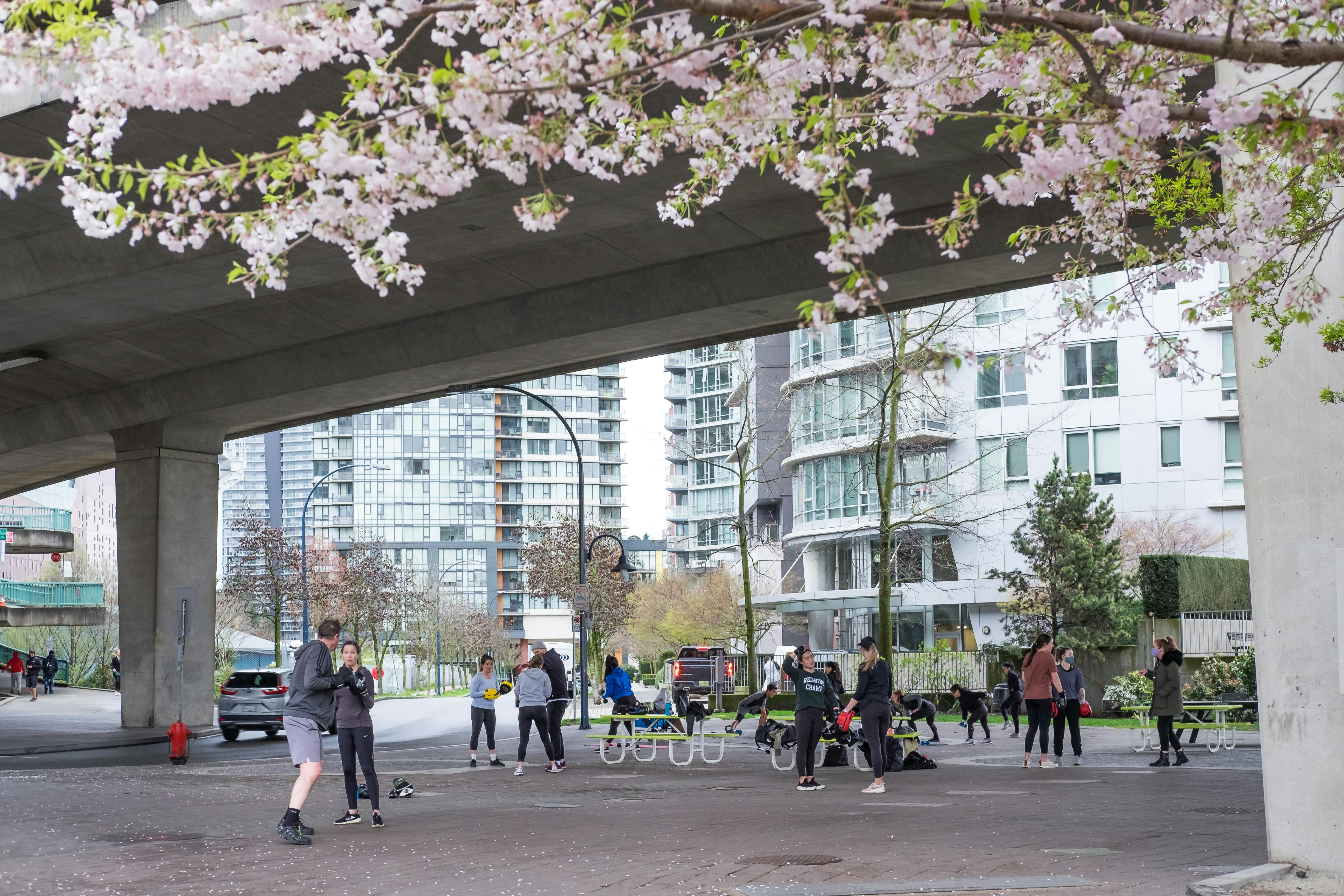 Cambie Bridge North Rain-Friendly Plaza