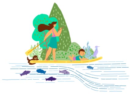 Colourful illustration of person on a paddleboard with a child lying on the front. Water with fish and otter below.