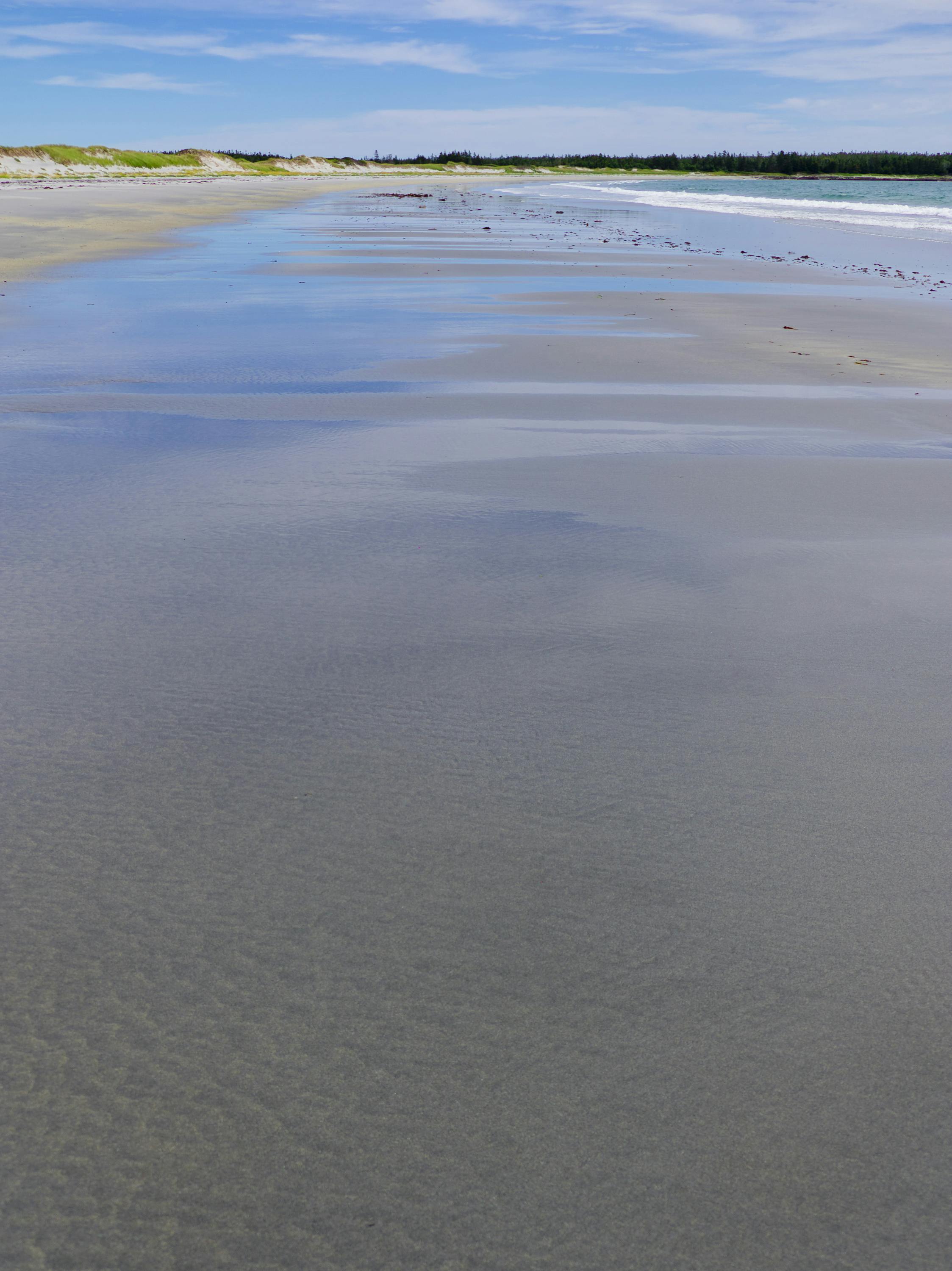 Bantam Bay beach & dune systems (Photo: Corey Isenor)