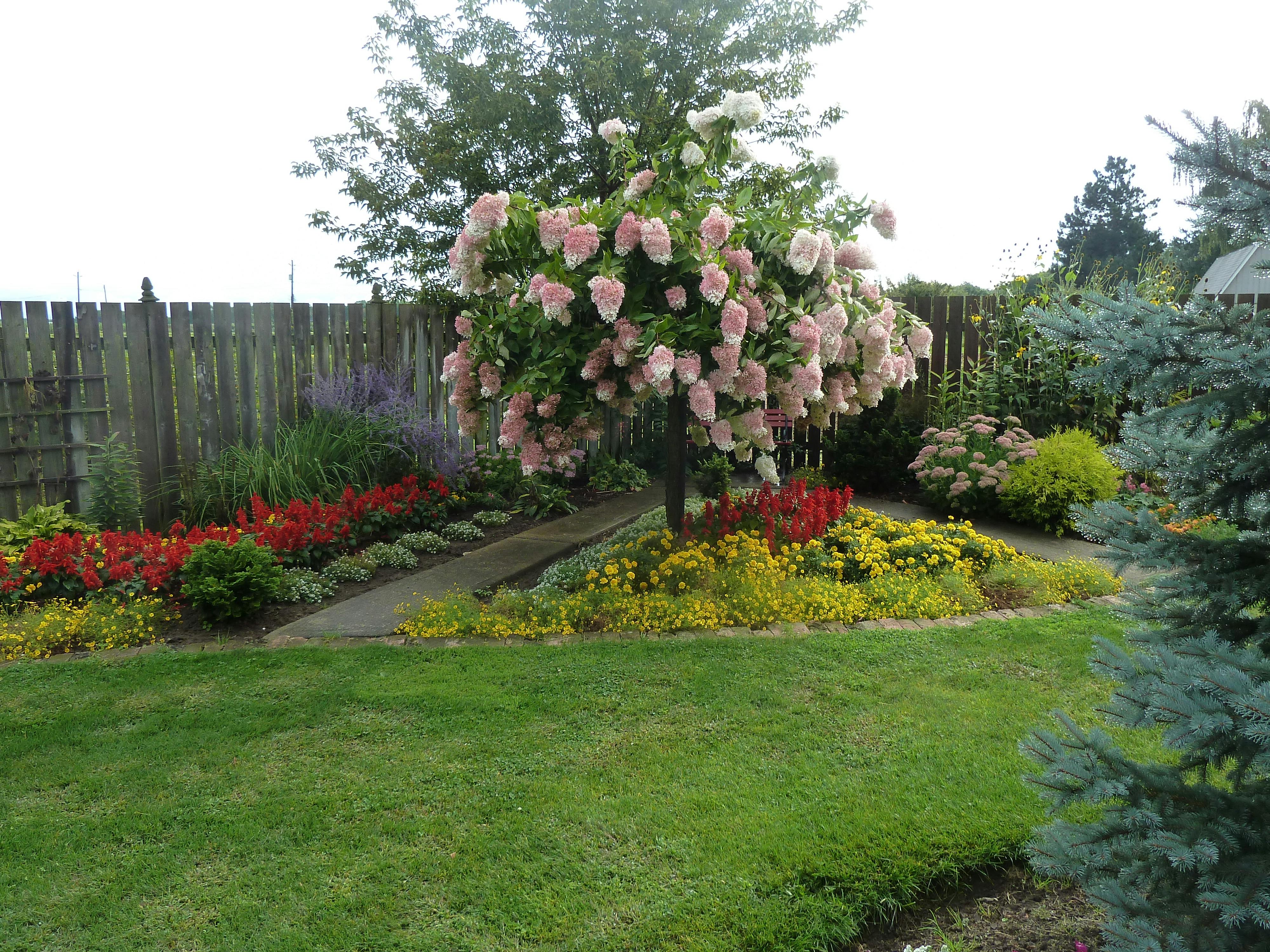 Garden in Lincoln 13