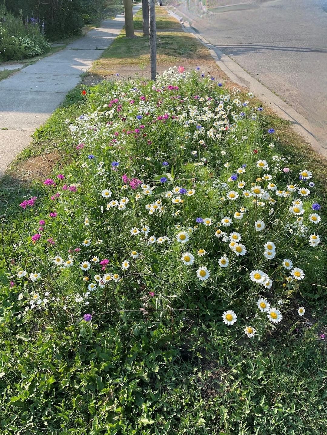 An example of a boulevard garden