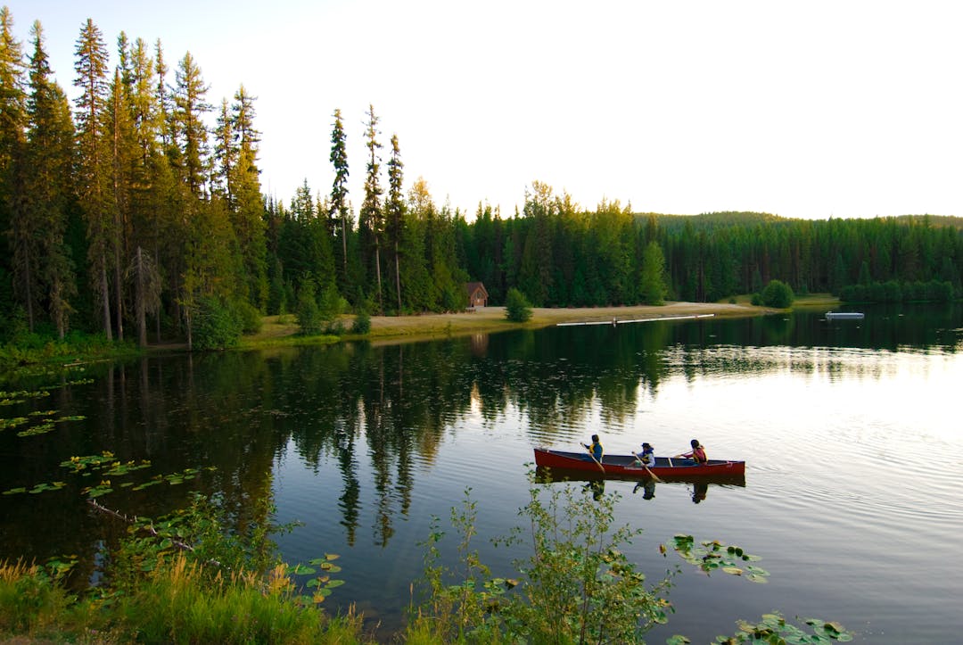 The Regional District of Kootenay Boundary Board of Directors recognizes the immediate need for bold climate action