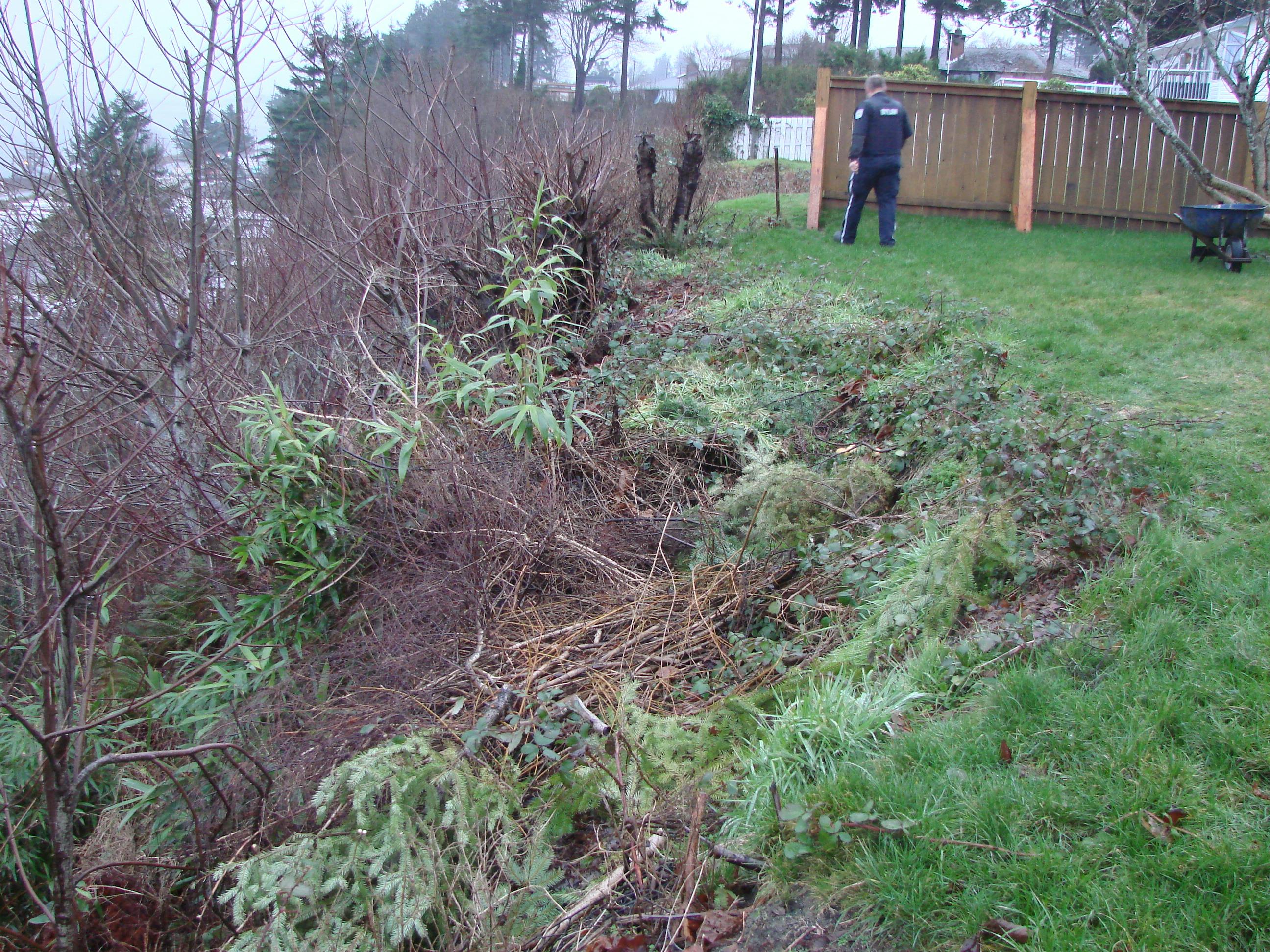 Extensive yard waste dumping on a slope can contribute to a landslide