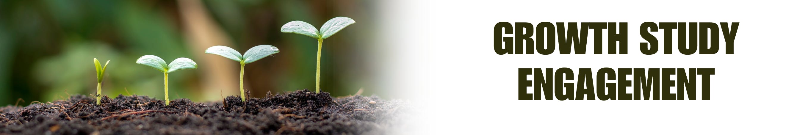 Banner growth study engagement, plan sprouting from small to large in soil