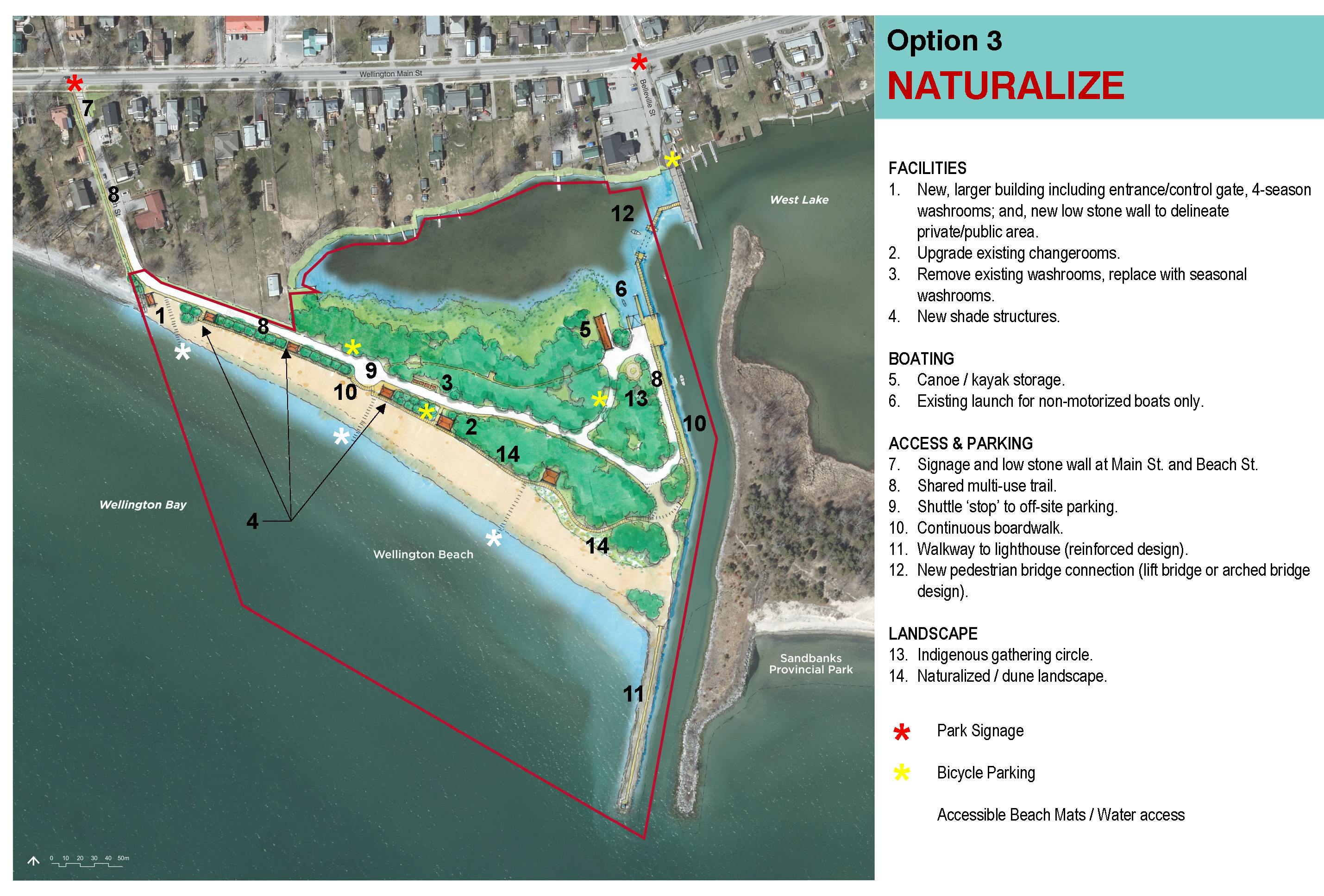 The "Naturalize" Concept Drawing