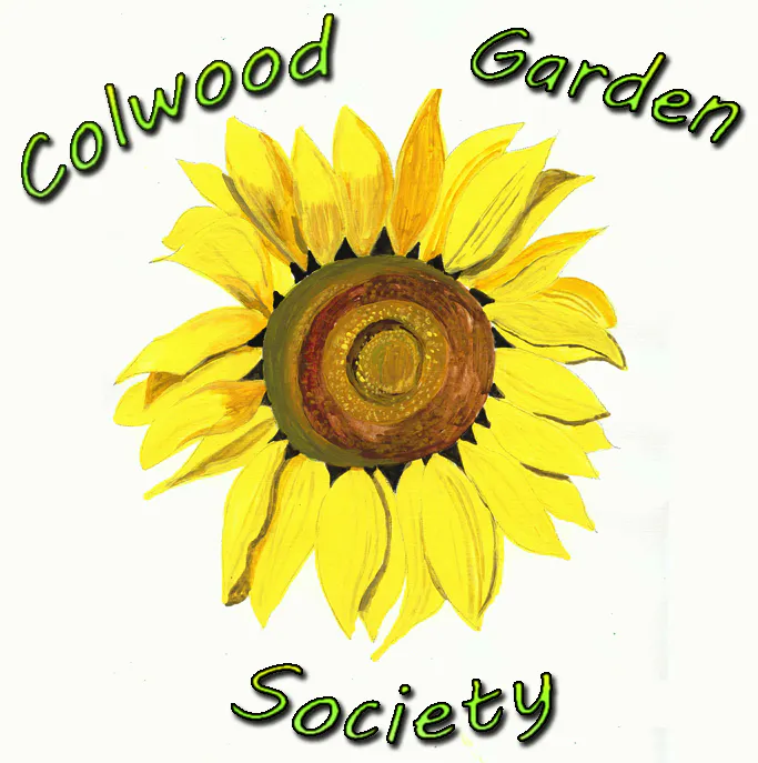 Team member, Derek de Candole