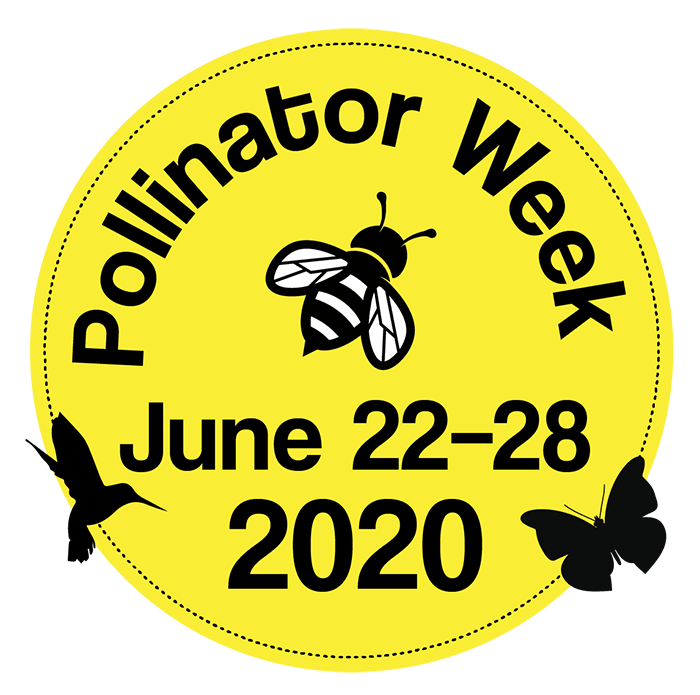Pollinator Week June 22-28