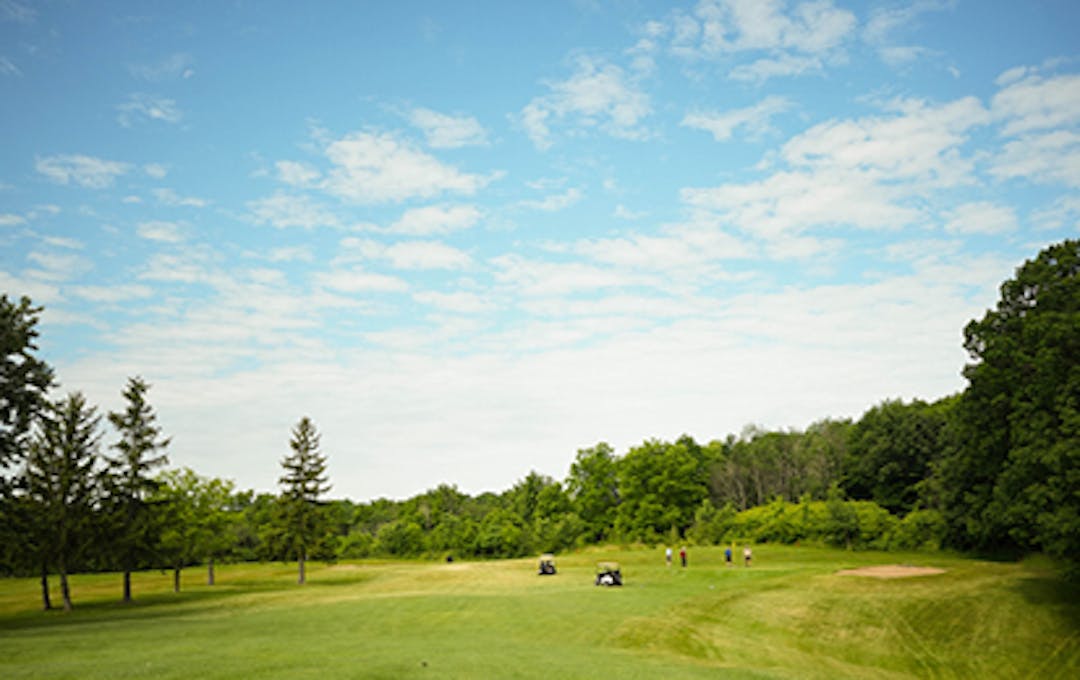 photo of golf course greenery and trees