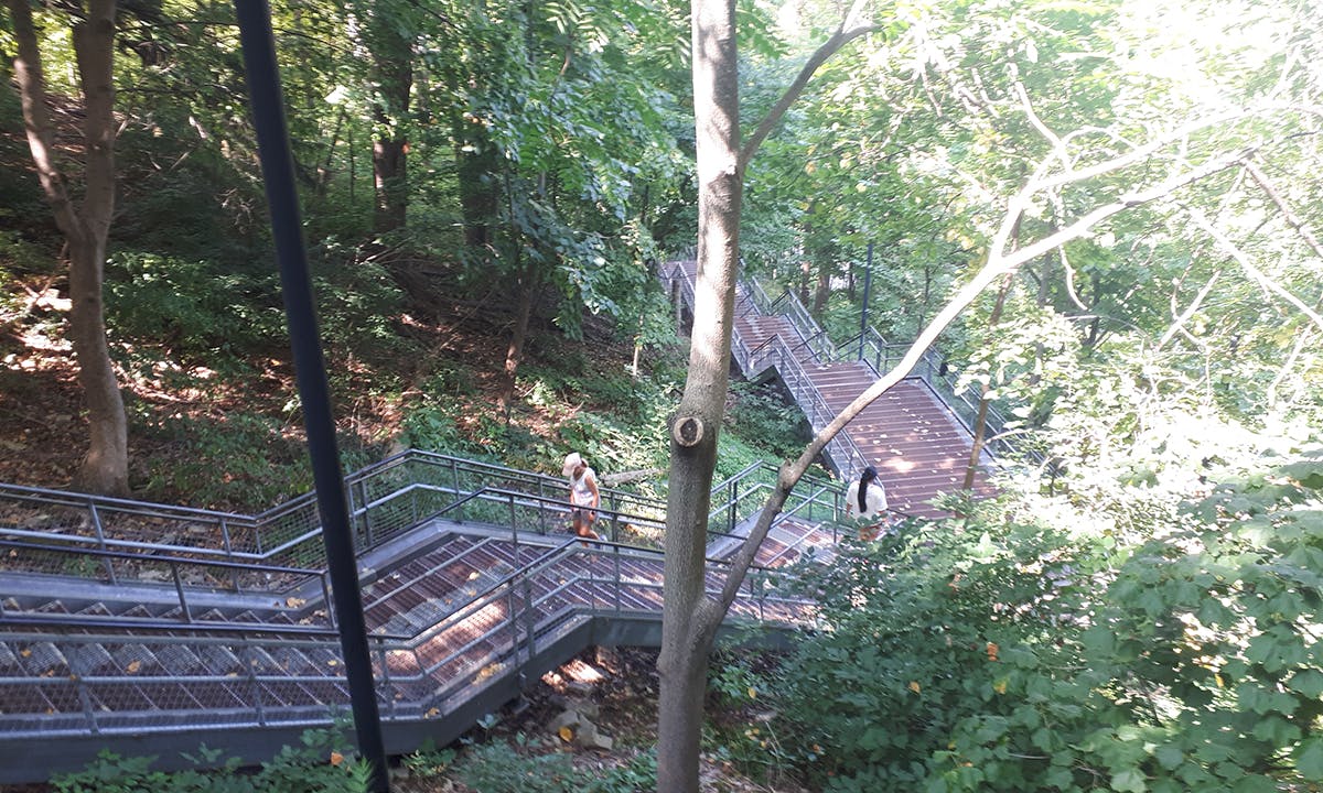 photo of the chedoke stairs