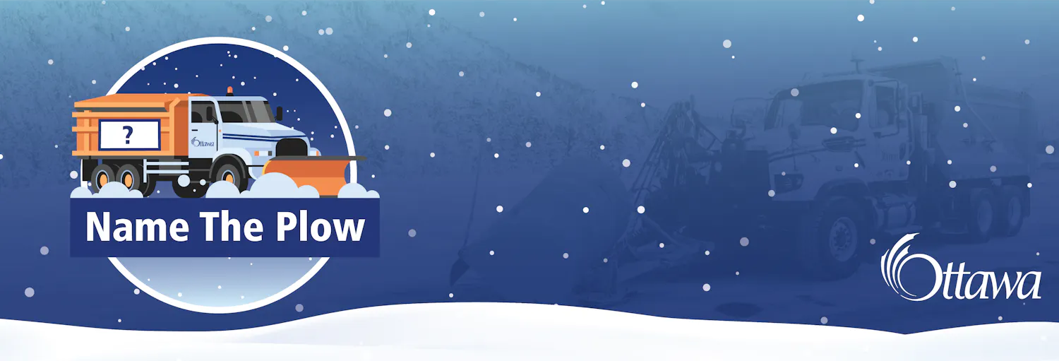 project banner