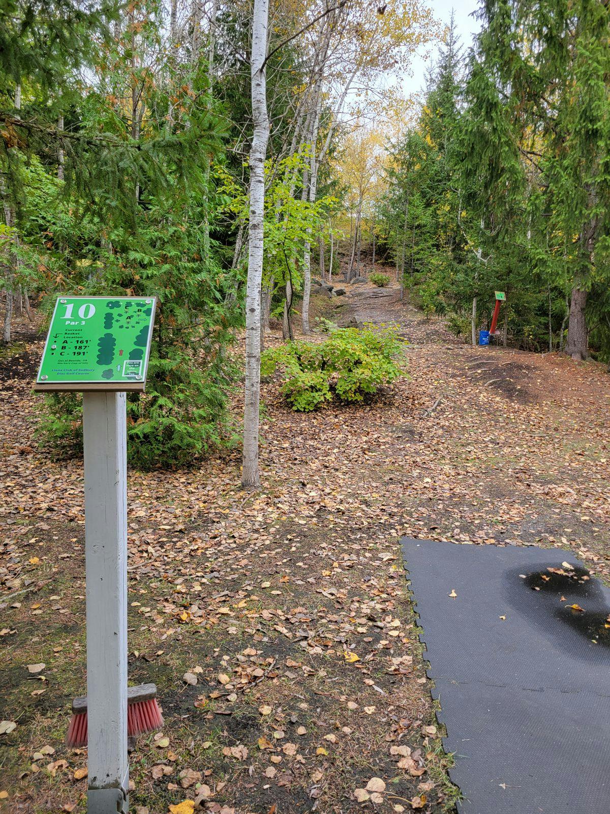 Disc Golf Photo 3.jpg