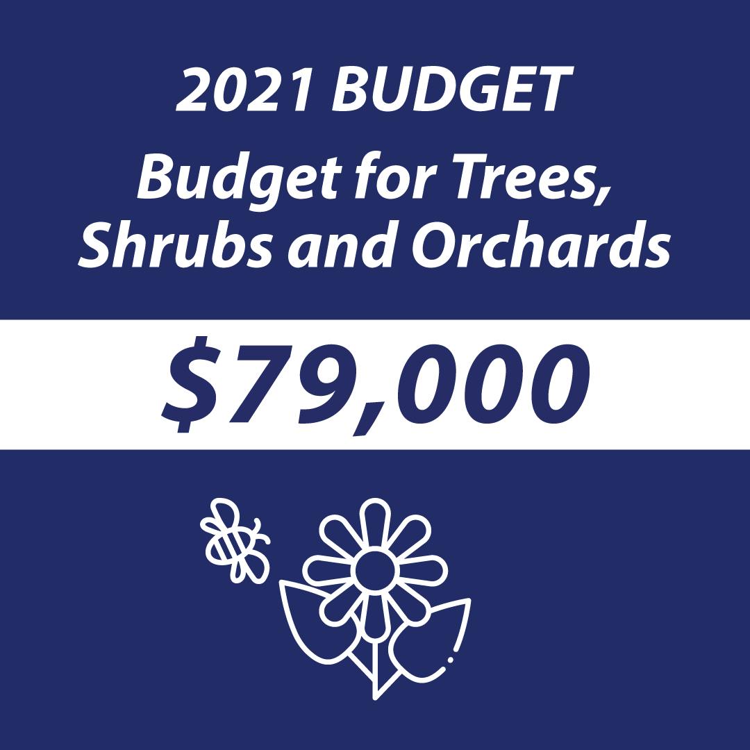 All-About-Pollinator-Friendly-Gardens-Budget-Blue.png