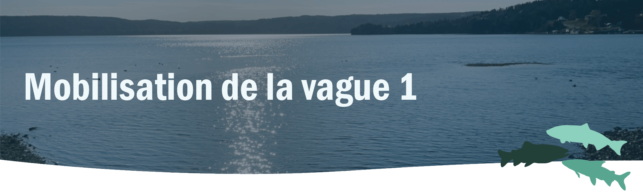 Lac avec montagnes en arrière-plan.