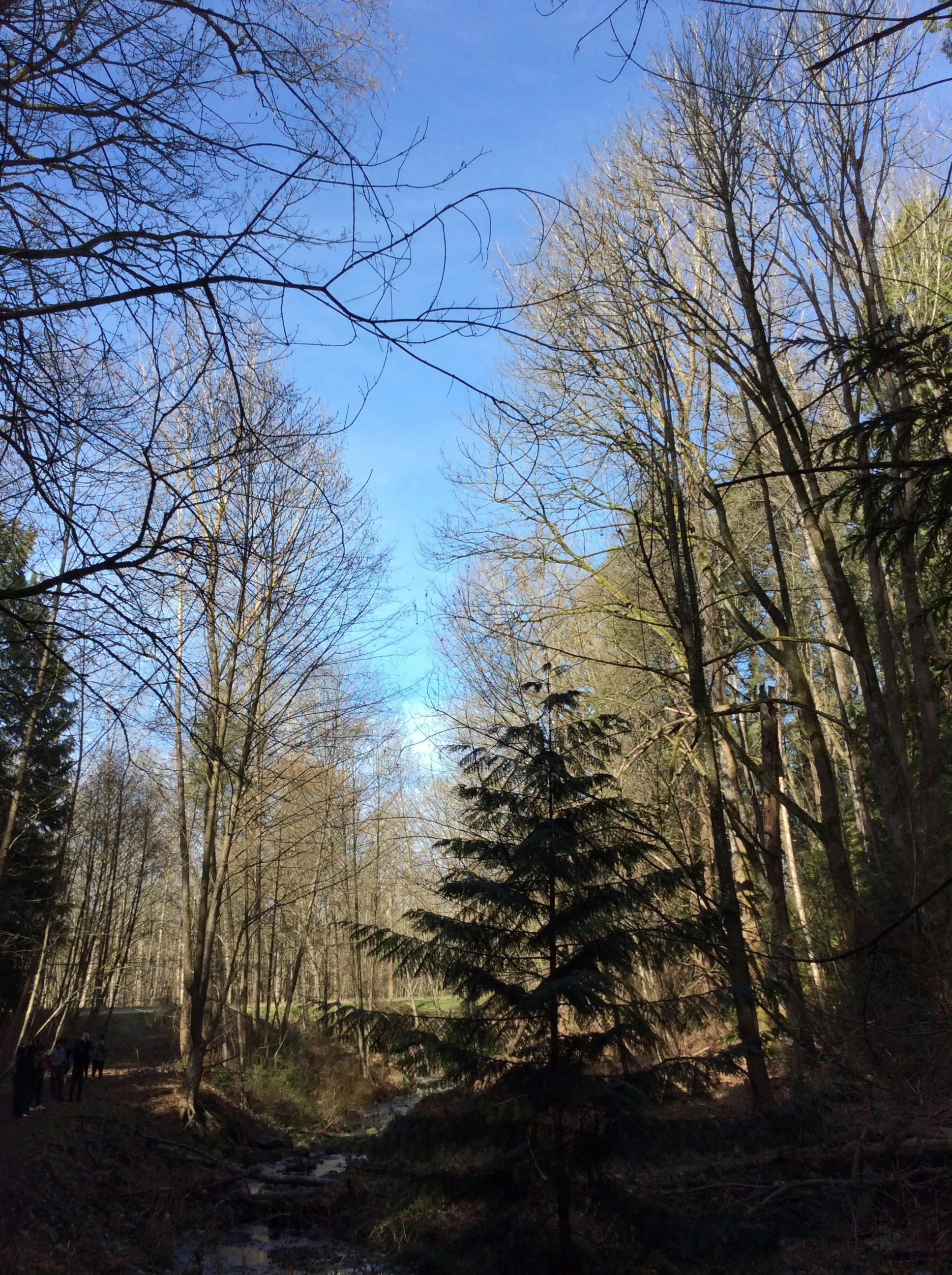 Environmental Stewardship