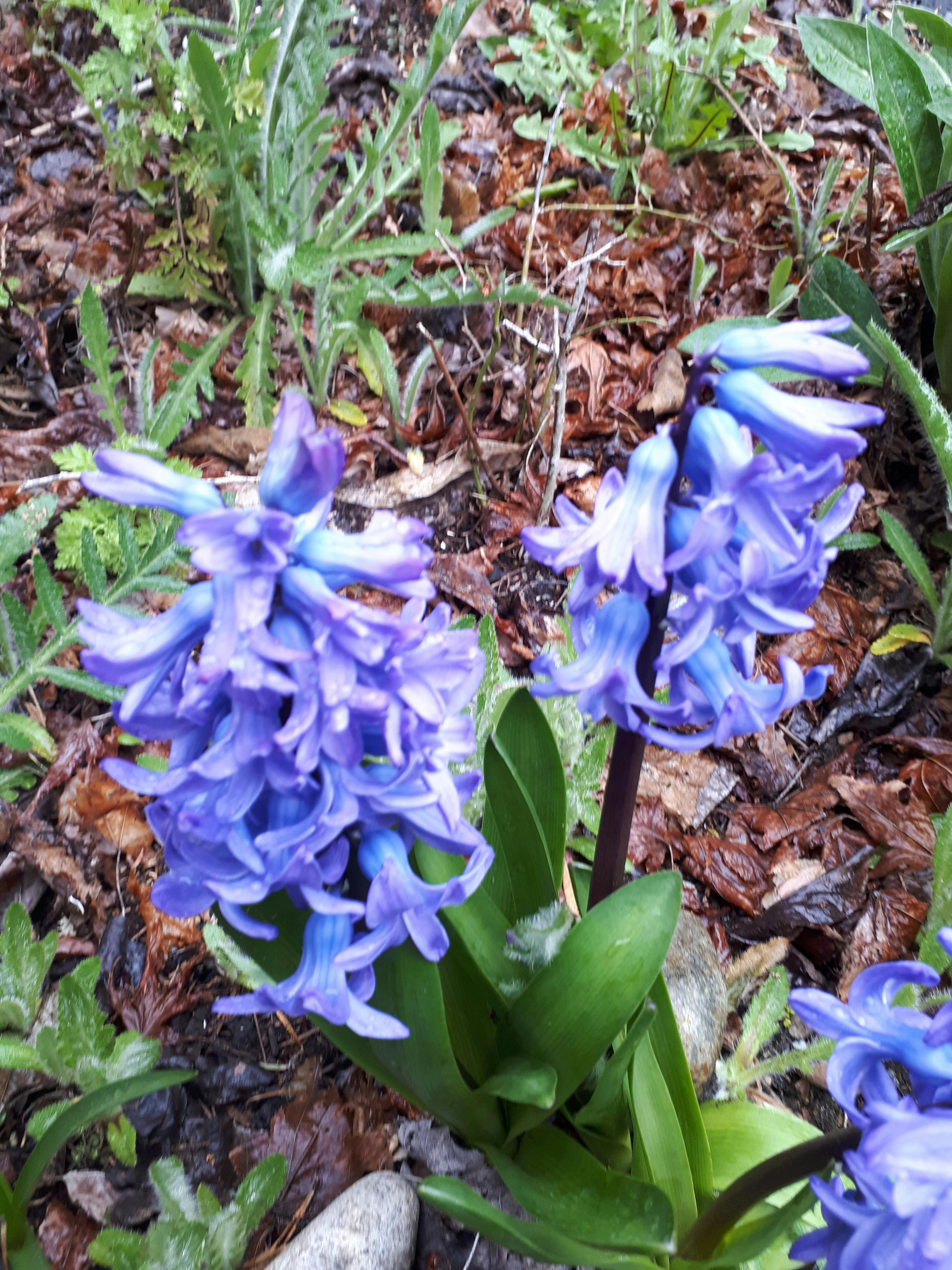 Keeping it Real...Messy!