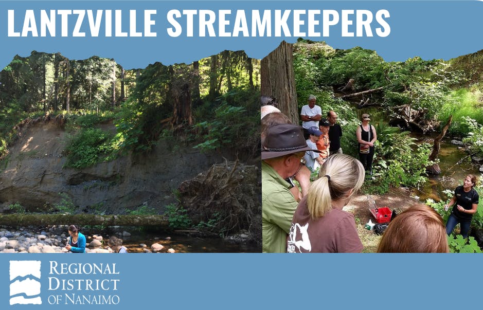 Lantzville Streamkeepers