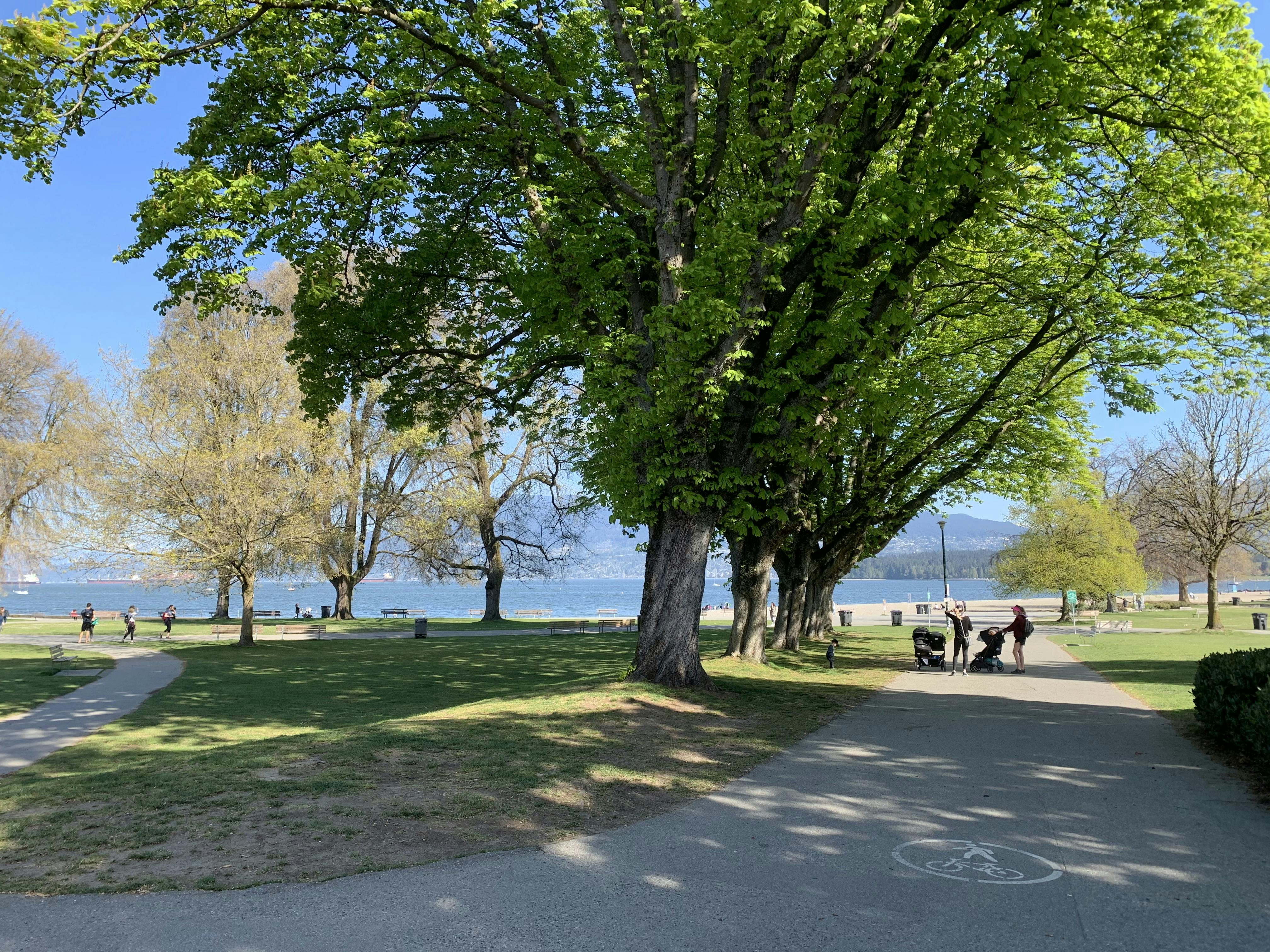Yew Street path in Kitsilano Beach Park being used as shared walking, rolling, and cycling path