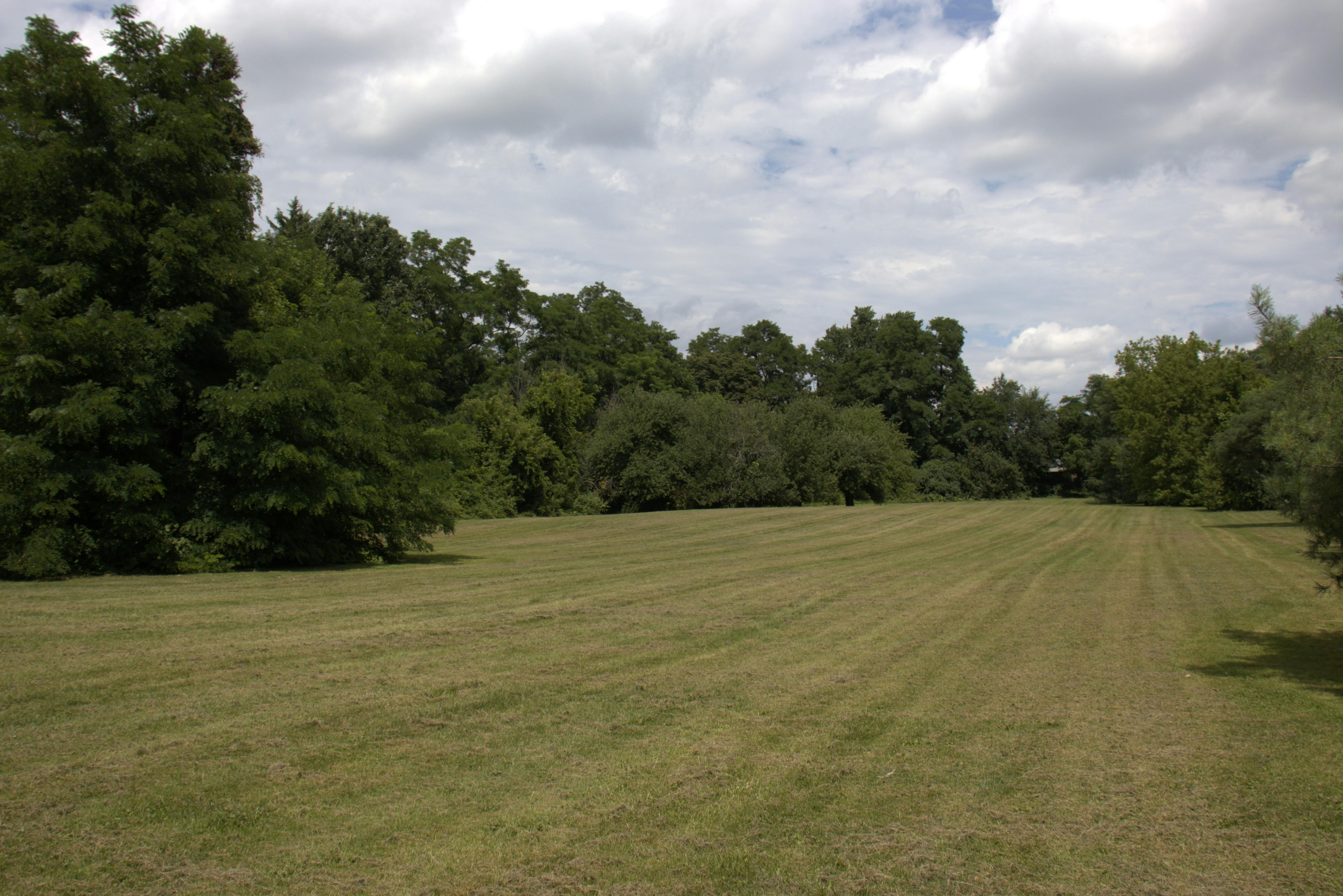 Greenspace 1_Open Space.jpg