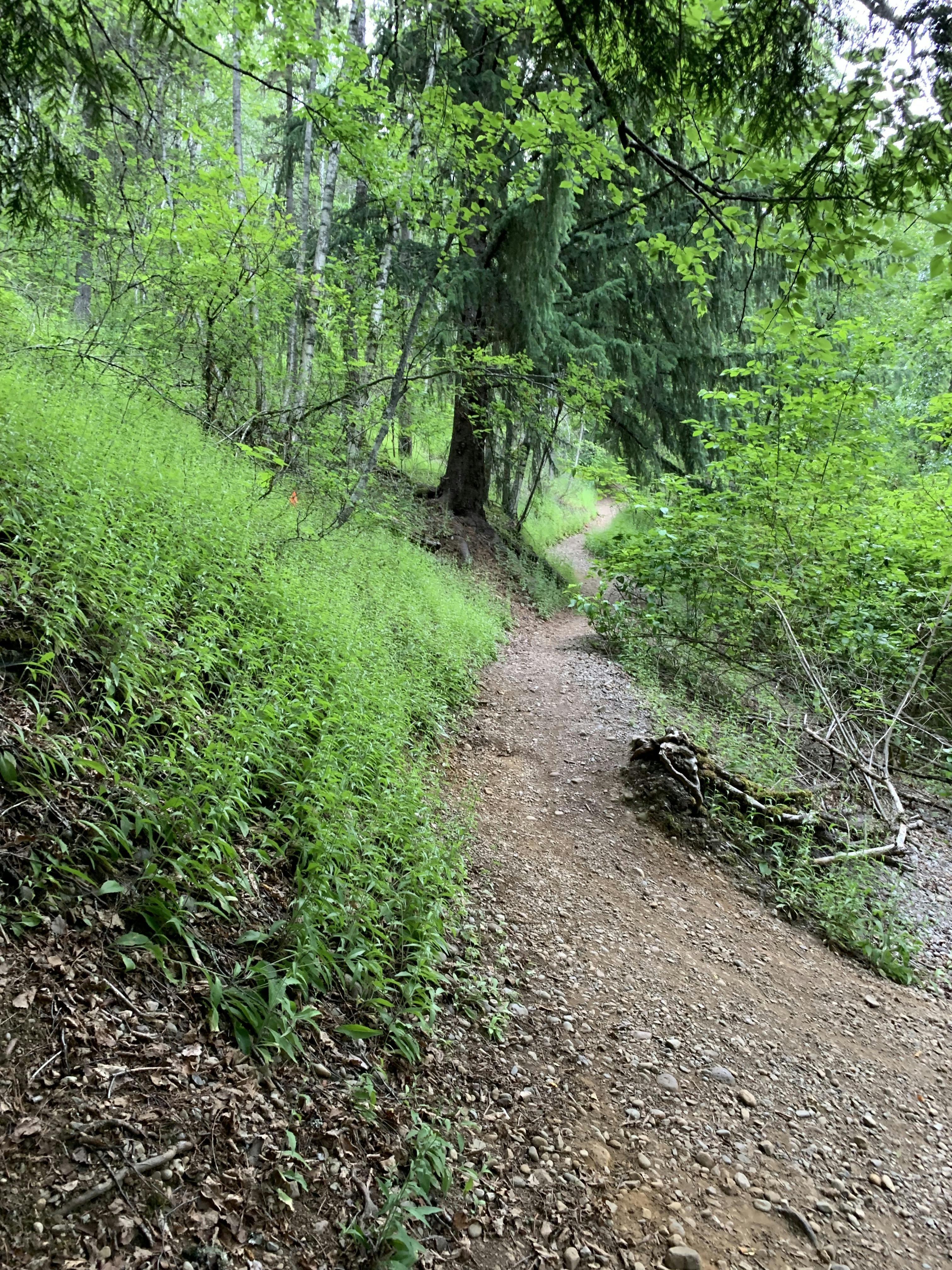 Current Terrace Viewpoint Trail Entrance